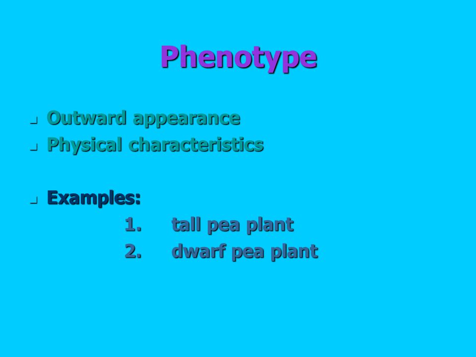 Phenotype Outward appearance Outward appearance Physical characteristics Physical characteristics Examples: Examples: 1.tall pea plant 2.dwarf pea plant