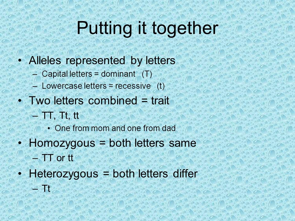 Putting it together Alleles represented by letters –Capital letters = dominant (T) –Lowercase letters = recessive (t) Two letters combined = trait –TT, Tt, tt One from mom and one from dad Homozygous = both letters same –TT or tt Heterozygous = both letters differ –Tt