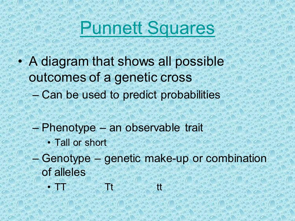 Punnett Squares A diagram that shows all possible outcomes of a genetic cross –Can be used to predict probabilities –Phenotype – an observable trait Tall or short –Genotype – genetic make-up or combination of alleles TT Tt tt