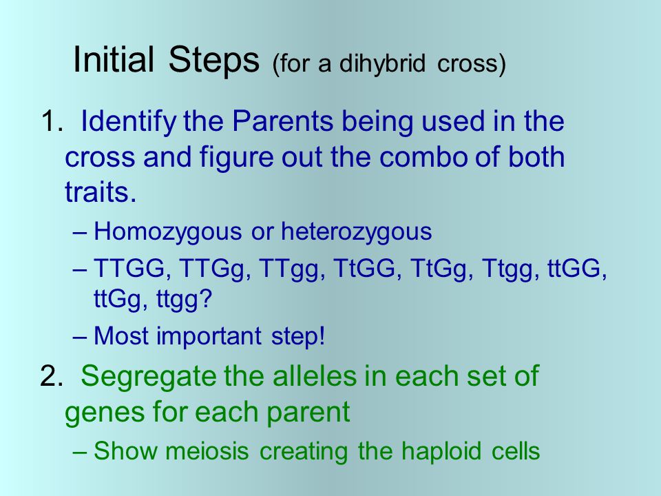 Initial Steps (for a dihybrid cross) 1.