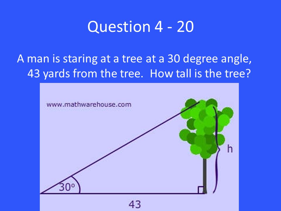 Question A man is staring at a tree at a 30 degree angle, 43 yards from the tree.