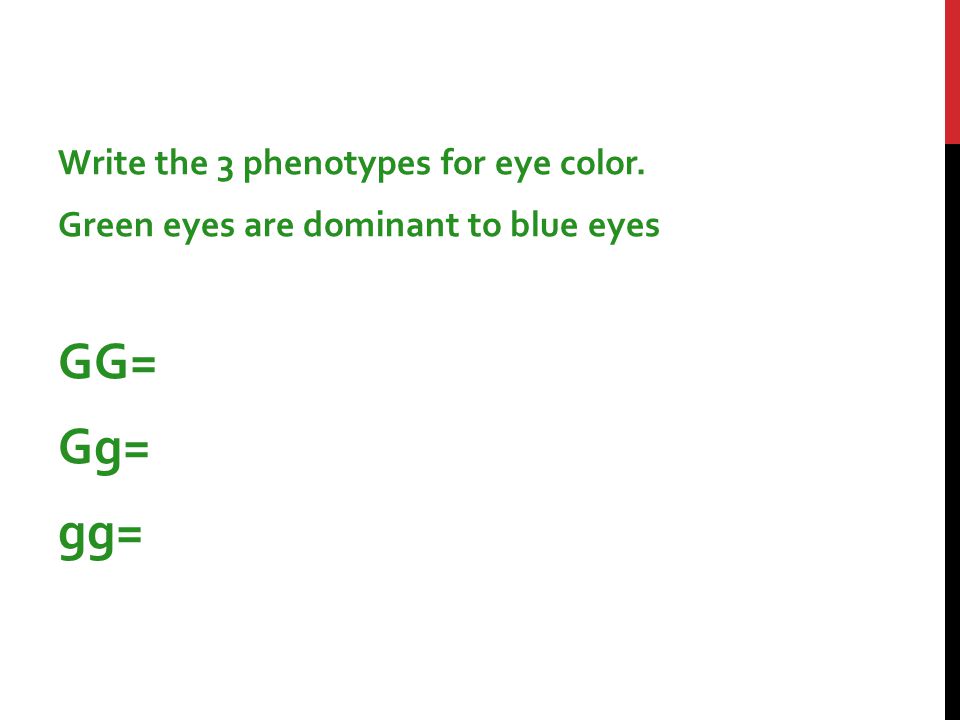 SAMPLE PROBLEMS Write the 3 possible genotypes for eye color.