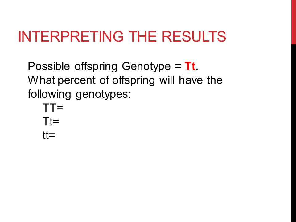 INTERPRETING THE RESULTS Possible offspring Genotype =