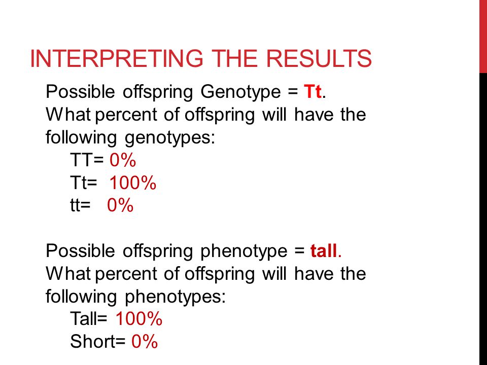 INTERPRETING THE RESULTS Possible offspring Genotype = Tt.