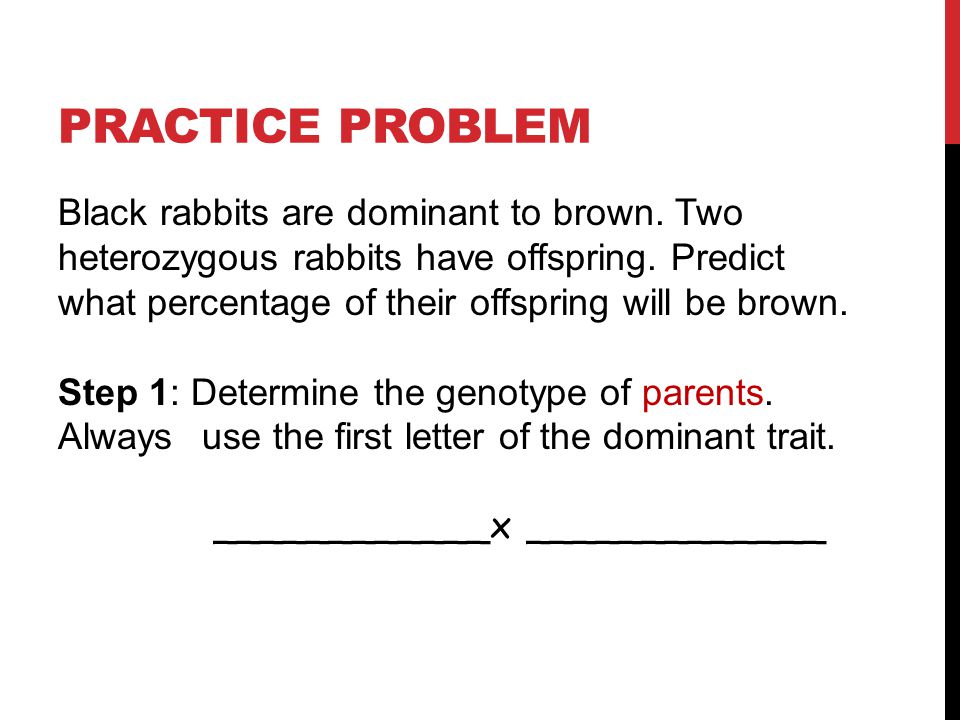 PRACTICE PROBLEM #2 Black rabbits are dominant to brown.