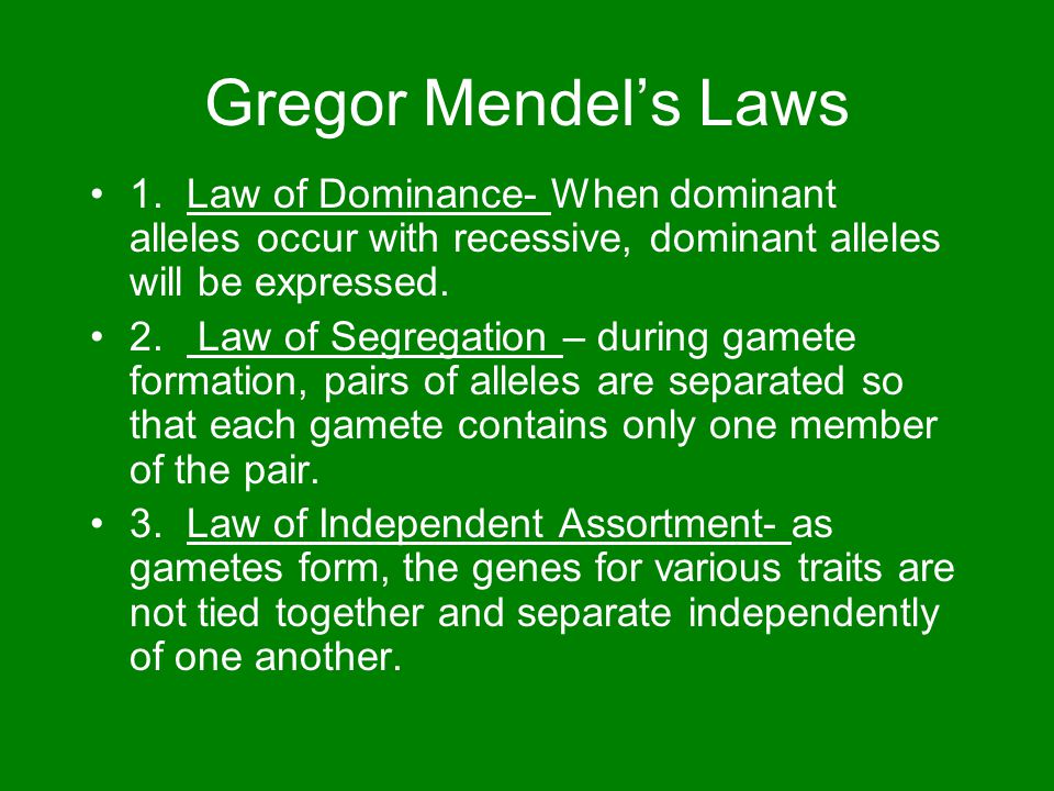 gregor mendel 3 laws