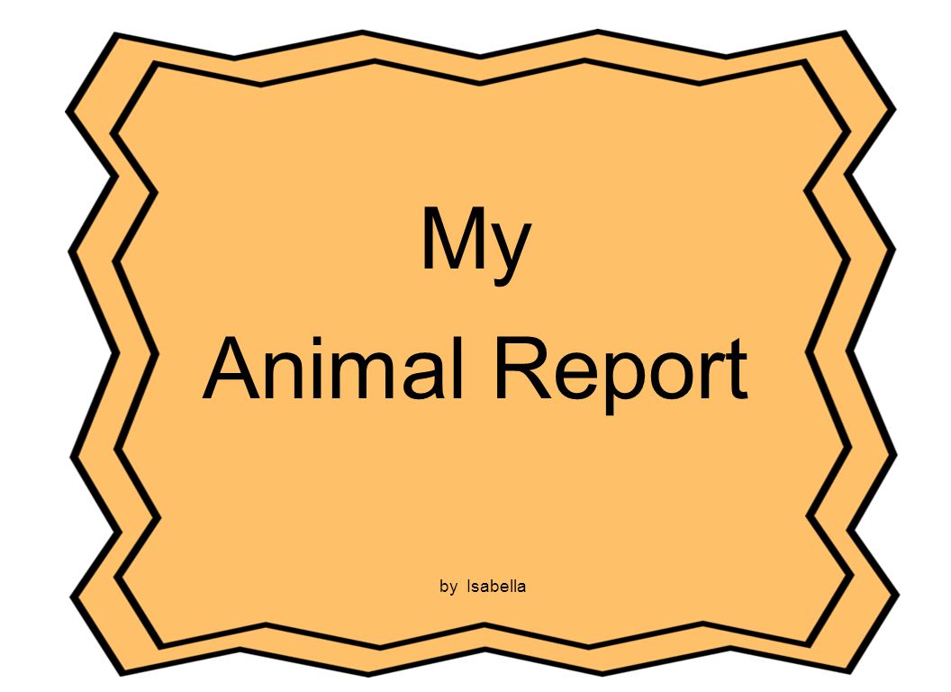 My Animal Report by Isabella