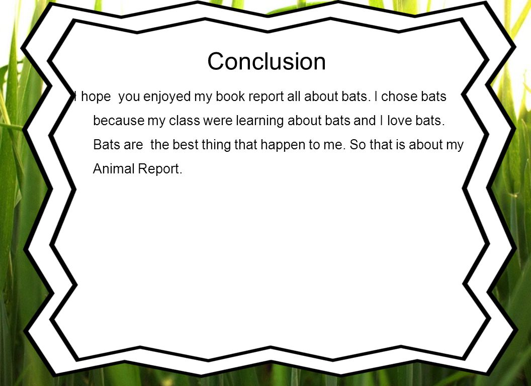 Conclusion I hope you enjoyed my book report all about bats.