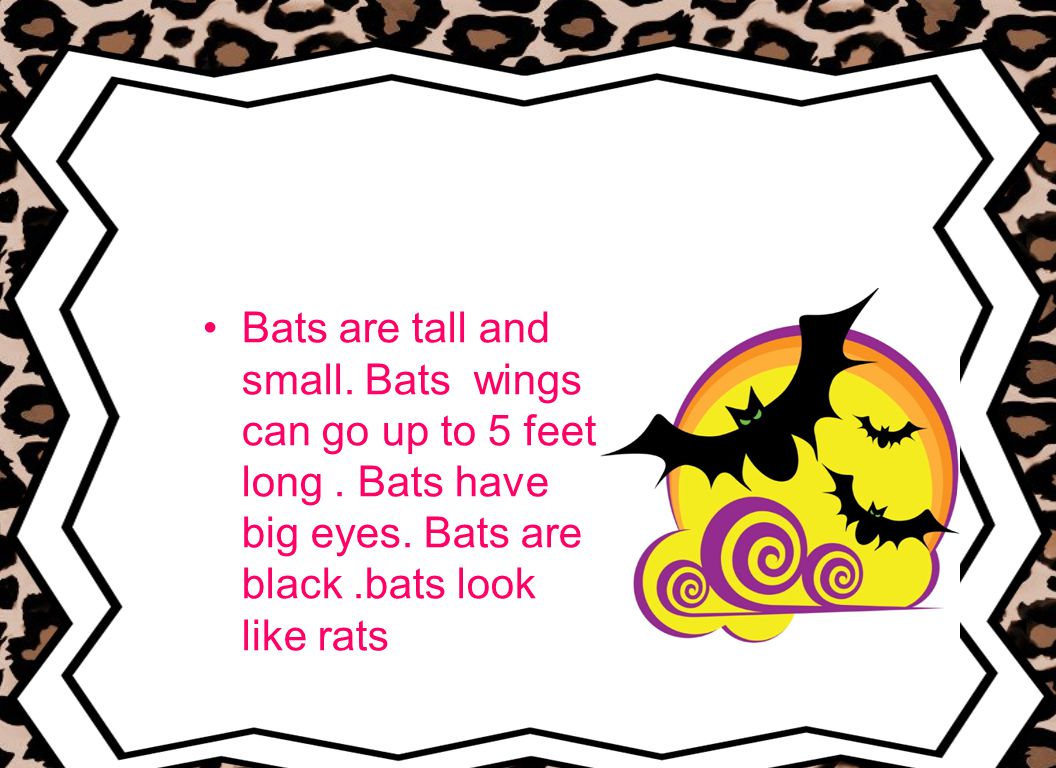 Bats are tall and small. Bats wings can go up to 5 feet long.