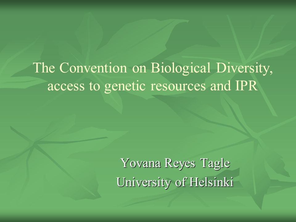 The Convention on Biological Diversity, access to genetic resources and IPR Yovana Reyes Tagle University of Helsinki