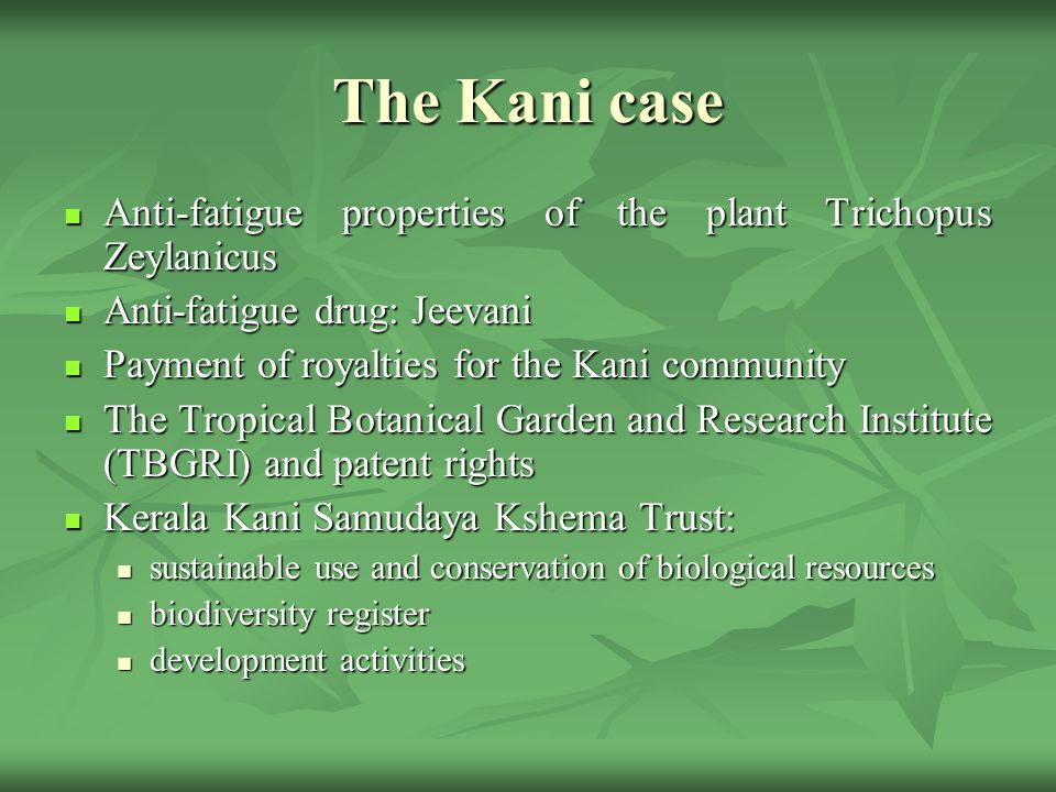 The Kani case Anti-fatigue properties of the plant Trichopus Zeylanicus Anti-fatigue properties of the plant Trichopus Zeylanicus Anti-fatigue drug: Jeevani Anti-fatigue drug: Jeevani Payment of royalties for the Kani community Payment of royalties for the Kani community The Tropical Botanical Garden and Research Institute (TBGRI) and patent rights The Tropical Botanical Garden and Research Institute (TBGRI) and patent rights Kerala Kani Samudaya Kshema Trust: Kerala Kani Samudaya Kshema Trust: sustainable use and conservation of biological resources sustainable use and conservation of biological resources biodiversity register biodiversity register development activities development activities