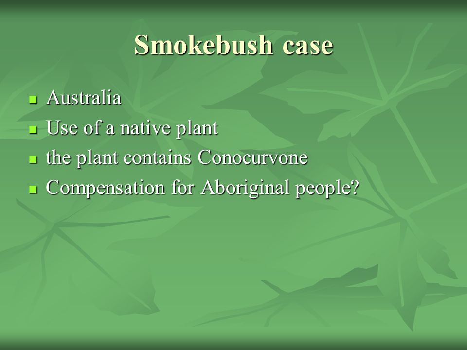 Smokebush case Australia Australia Use of a native plant Use of a native plant the plant contains Conocurvone the plant contains Conocurvone Compensation for Aboriginal people.