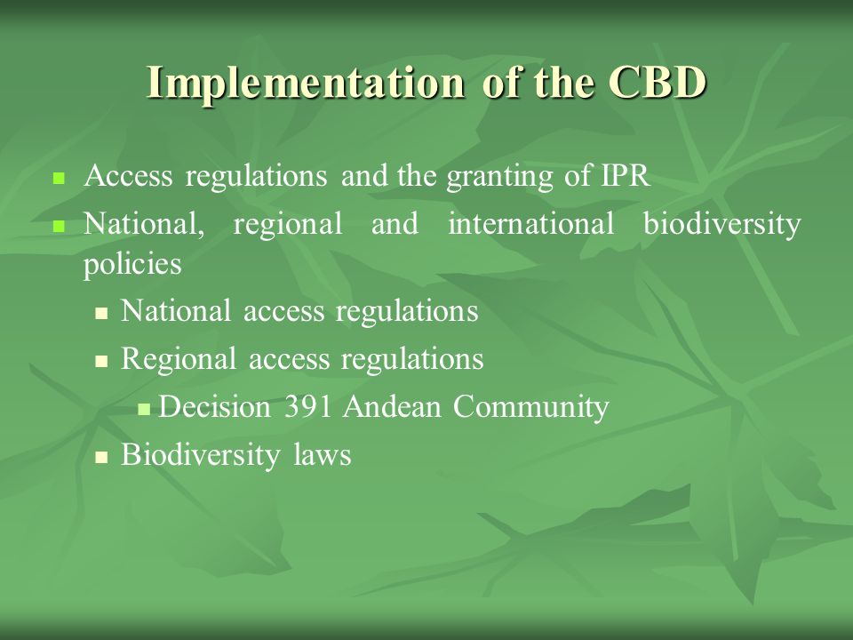 Implementation of the CBD Access regulations and the granting of IPR National, regional and international biodiversity policies National access regulations Regional access regulations Decision 391 Andean Community Biodiversity laws