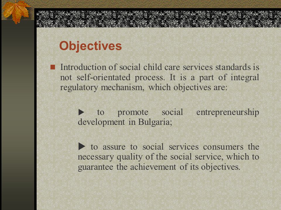 Objectives Introduction of social child care services standards is not self-orientated process.