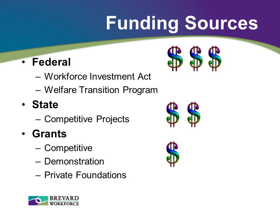 Funding Sources Federal –Workforce Investment Act –Welfare Transition Program State –Competitive Projects Grants –Competitive –Demonstration –Private Foundations