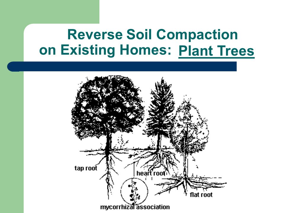 Reverse Soil Compaction on Existing Homes: Aerate Your Lawn
