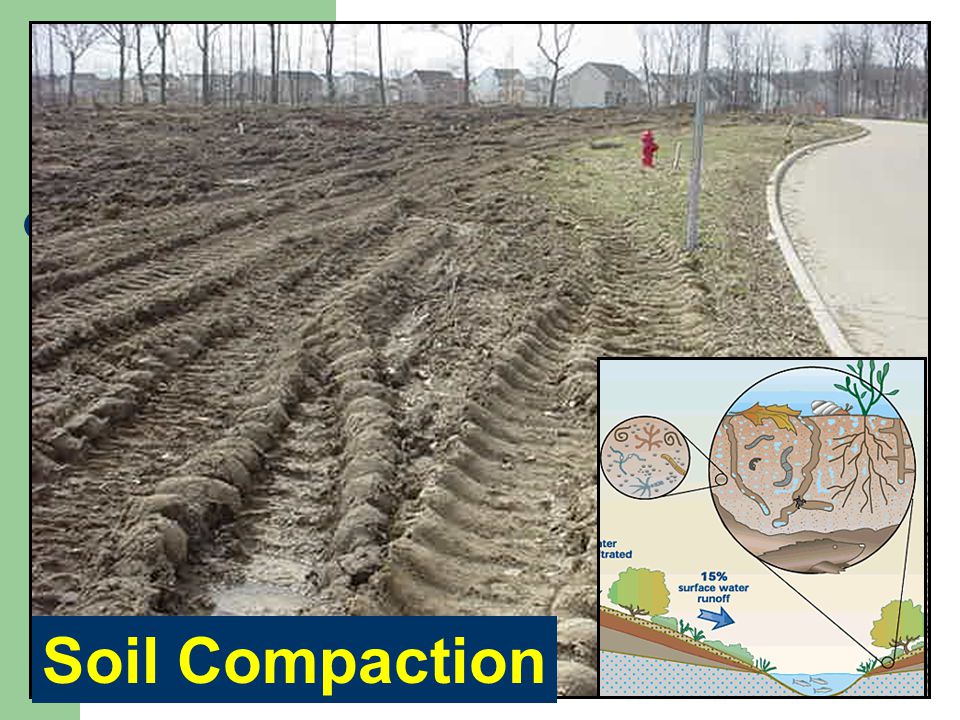 Increase Infiltration Reduce soil compaction Landscaping alternatives Turf management