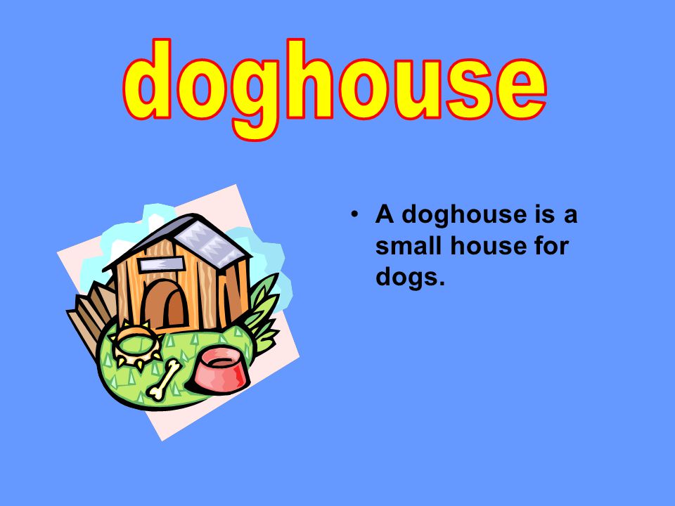 A doghouse is a small house for dogs.