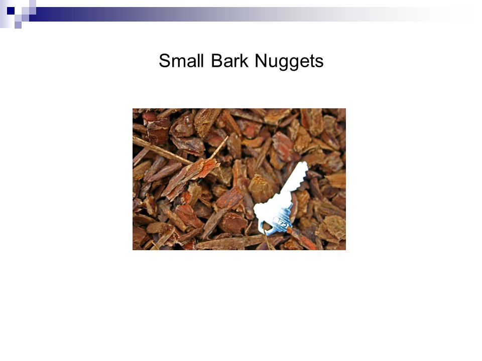 Small Bark Nuggets