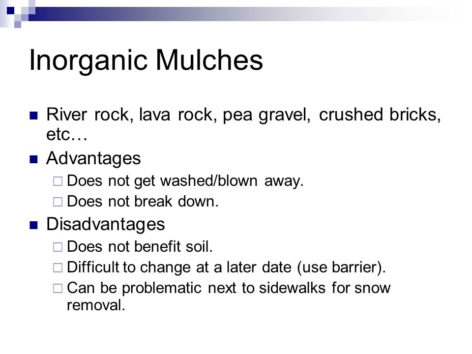 Inorganic Mulches River rock, lava rock, pea gravel, crushed bricks, etc… Advantages  Does not get washed/blown away.