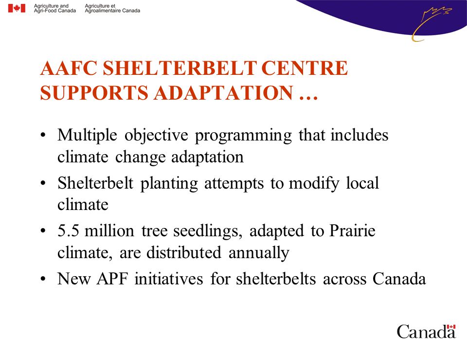 Multiple objective programming that includes climate change adaptation Shelterbelt planting attempts to modify local climate 5.5 million tree seedlings, adapted to Prairie climate, are distributed annually New APF initiatives for shelterbelts across Canada AAFC SHELTERBELT CENTRE SUPPORTS ADAPTATION …