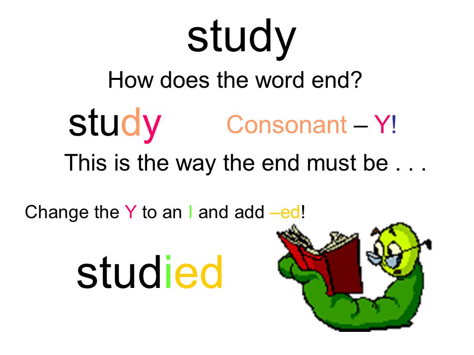 silly How does the word end. Consonant – Y. This is the way the end must be...