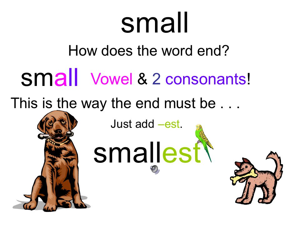 carry How does the word end. Consonant – Y. This is the way the end must be...