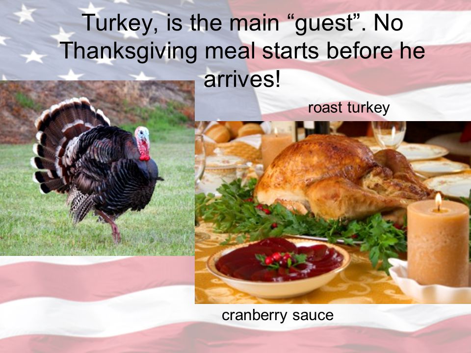 Turkey, is the main guest . No Thanksgiving meal starts before he arrives.