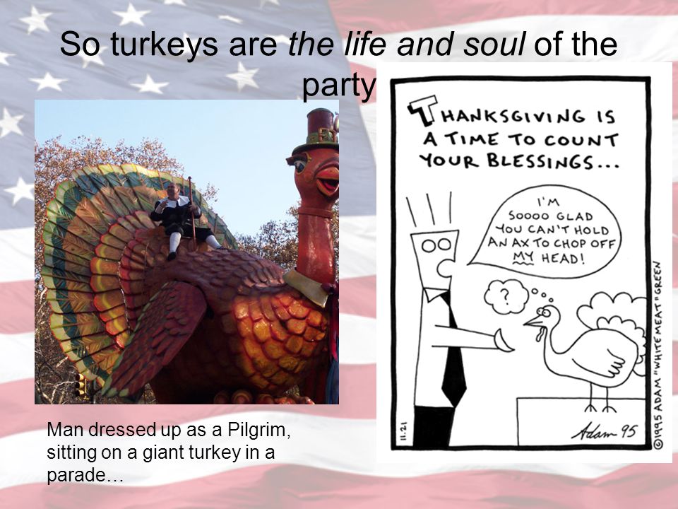 So turkeys are the life and soul of the party Man dressed up as a Pilgrim, sitting on a giant turkey in a parade…