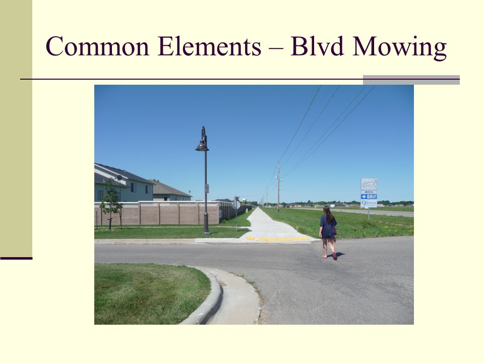 Common Elements – Blvd Mowing