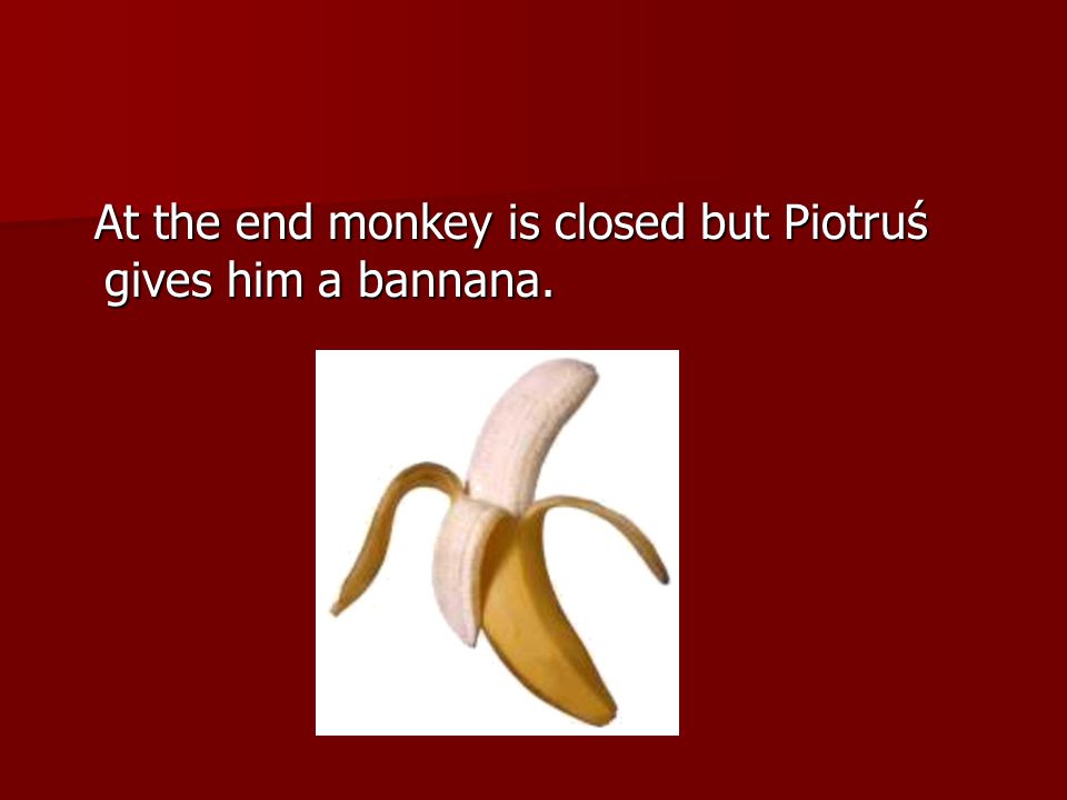 At the end monkey is closed but Piotruś gives him a bannana.