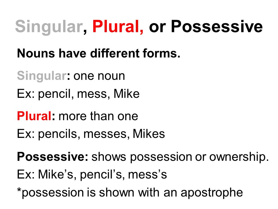 Singular, Plural, or Possessive Nouns have different forms.