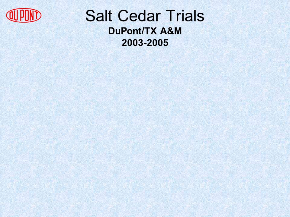 Salt Cedar Trials DuPont/TX A&M