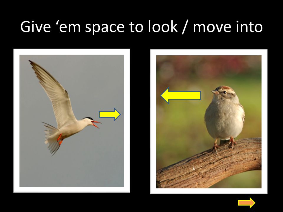 Give ‘em space to look / move into