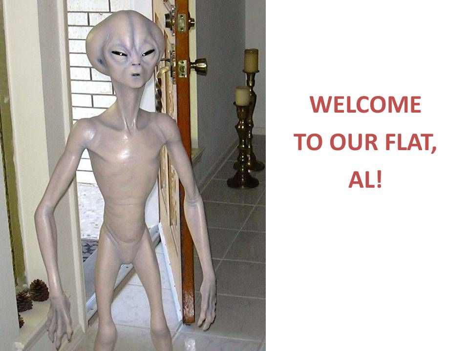 WELCOME TO OUR FLAT, AL!