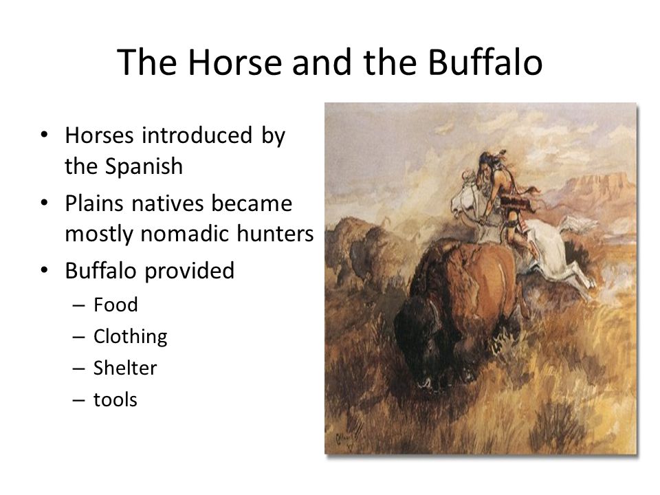 The Horse and the Buffalo Horses introduced by the Spanish Plains natives became mostly nomadic hunters Buffalo provided – Food – Clothing – Shelter – tools