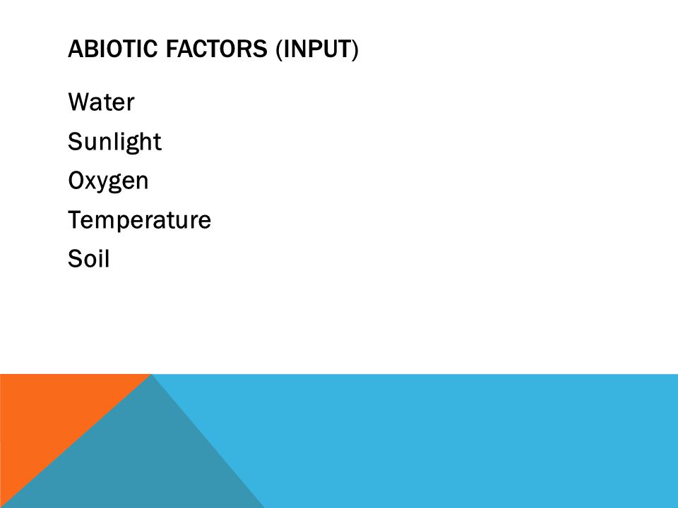 ABIOTIC FACTORS (INPUT) Water Sunlight Oxygen Temperature Soil