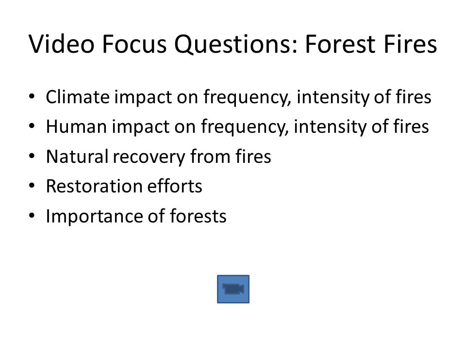Video Focus Questions: Forest Fires Climate impact on frequency, intensity of fires Human impact on frequency, intensity of fires Natural recovery from fires Restoration efforts Importance of forests
