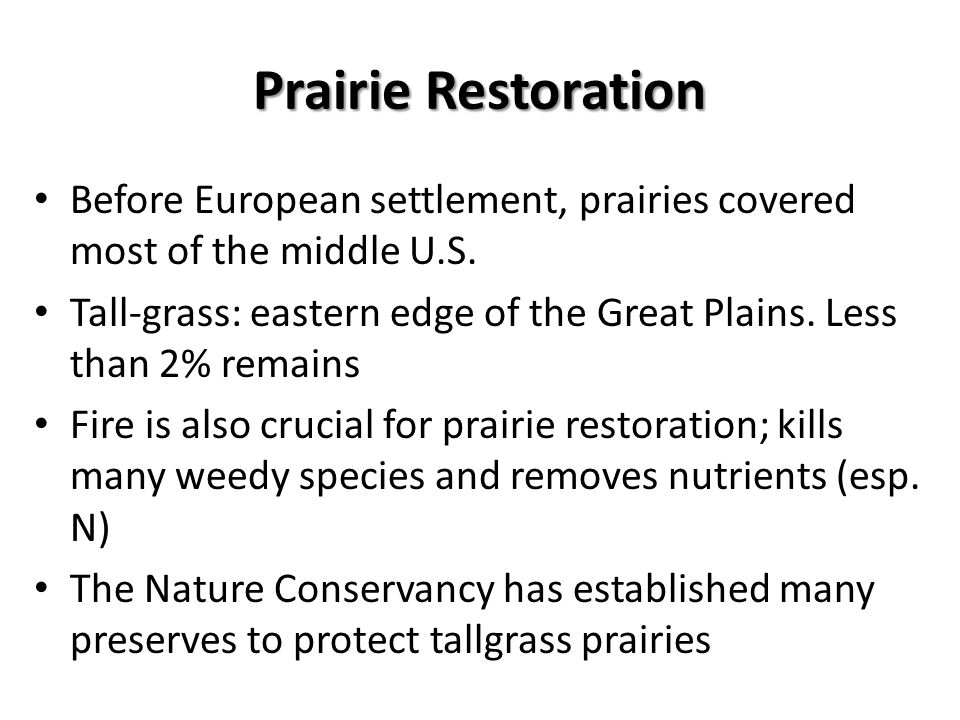 Prairie Restoration Before European settlement, prairies covered most of the middle U.S.