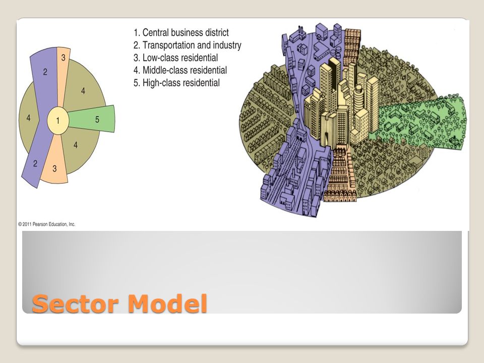 Sector Model