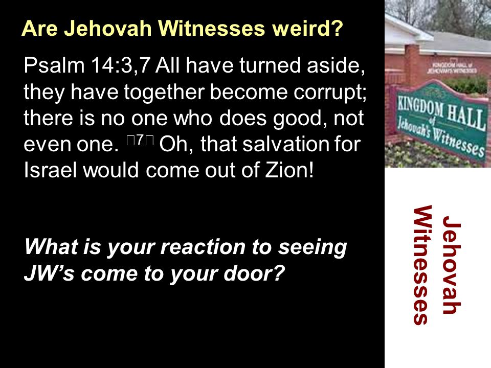 Easter Witness Jehovah Witnesses. Jehovah Witnesses Jehovah Witness Fun Facts Which of these