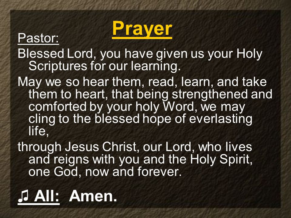Pastor: Blessed Lord, you have given us your Holy Scriptures for our learning.