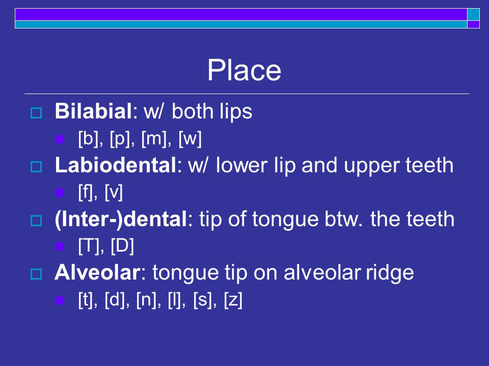 Place  Bilabial: w/ both lips [b], [p], [m], [w]  Labiodental: w/ lower lip and upper teeth [f], [v]  (Inter-)dental: tip of tongue btw.