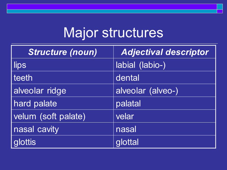 Major structures Structure (noun)Adjectival descriptor lipslabial (labio-) teethdental alveolar ridgealveolar (alveo-) hard palatepalatal velum (soft palate)velar nasal cavitynasal glottisglottal