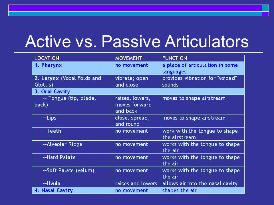 Active vs. Passive Articulators