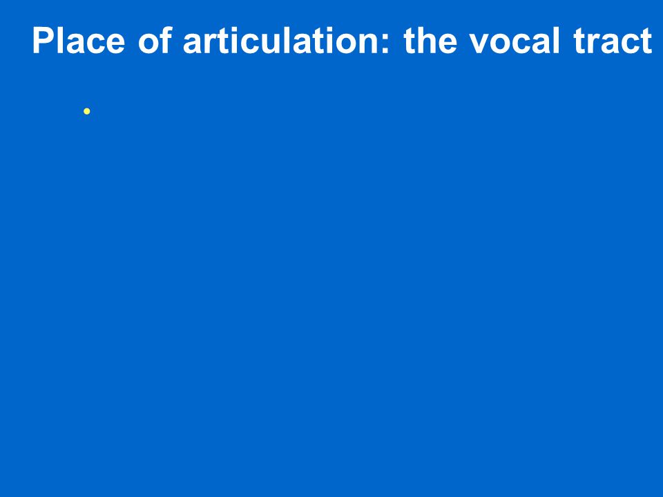 Place of articulation: the vocal tract