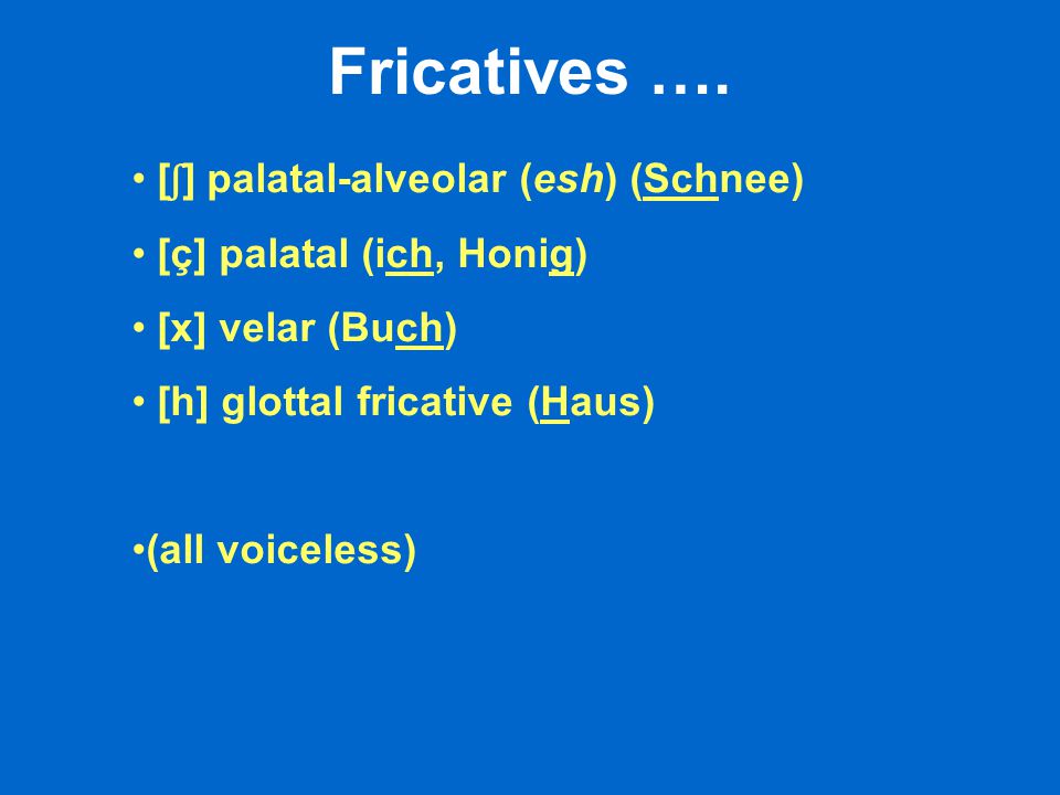 [ ʃ ] palatal-alveolar (esh) (Schnee) [ç] palatal (ich, Honig) [x] velar (Buch) [h] glottal fricative (Haus) (all voiceless) Fricatives ….