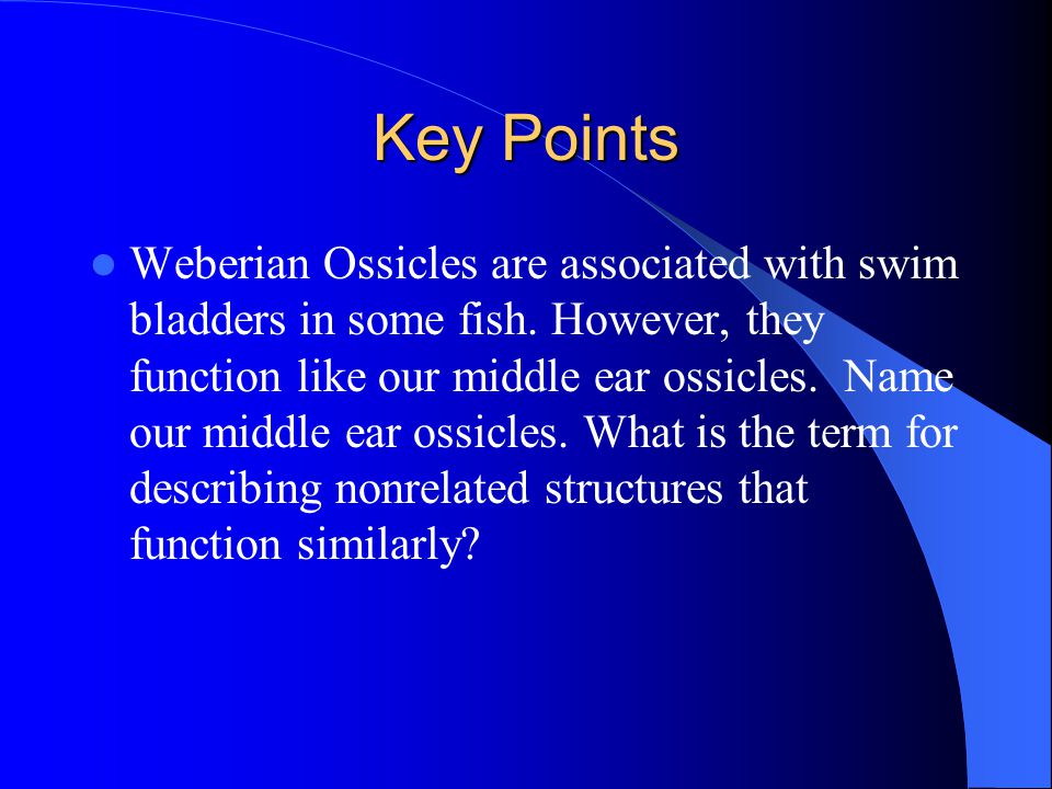 Key Points Weberian Ossicles are associated with swim bladders in some fish.