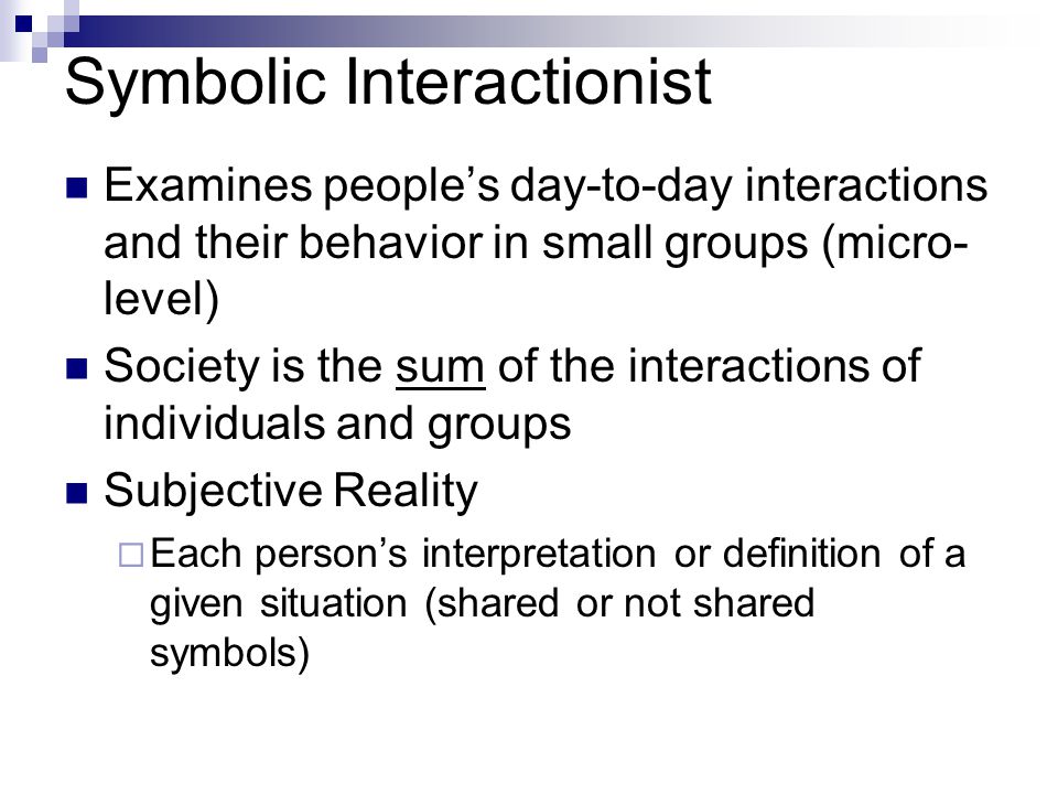 Symbolic Interactionist Examines people’s day-to-day interactions and their behavior in small groups (micro- level) Society is the sum of the interactions of individuals and groups Subjective Reality  Each person’s interpretation or definition of a given situation (shared or not shared symbols)