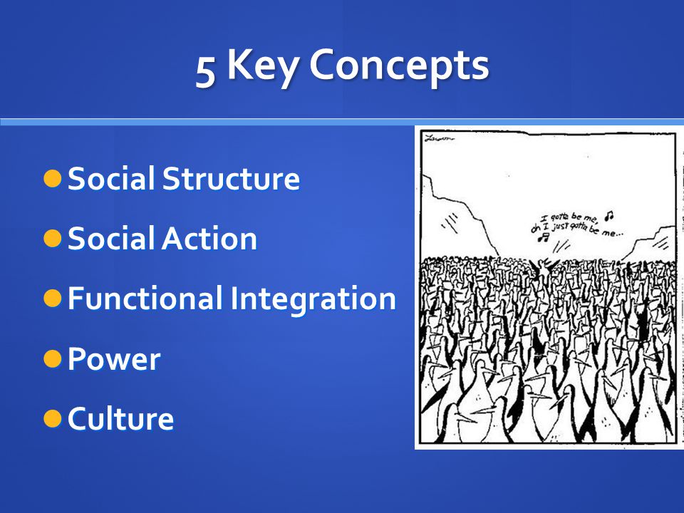 5 Key Concepts Social Structure Social Structure Social Action Social Action Functional Integration Functional Integration Power Power Culture Culture